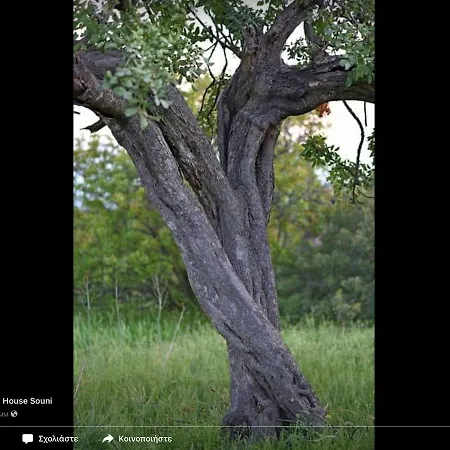 Amalia Panorama House Prázdninový dům Zanaja