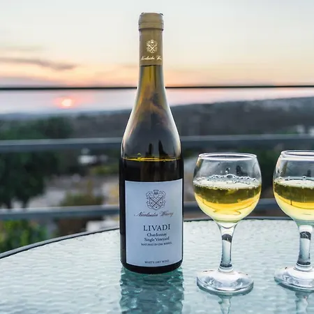 Σπίτι διακοπών Amalia Panorama House Zanaja